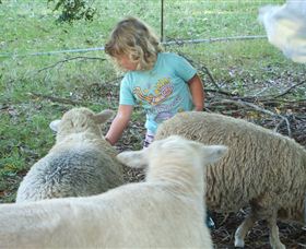 Hide-Away Cottage Retreat - Accommodation NSW 3