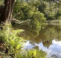 Weldborough Camping Ground - Accommodation NSW
