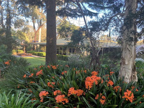 Treetops Bed And Breakfast - Accommodation NSW 6