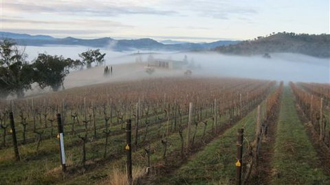 Valley View Caravan Park - Accommodation NSW 5