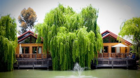 Perricoota Vines Retreat Echuca Moama - Accommodation NSW 0