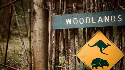  Accommodation NSW