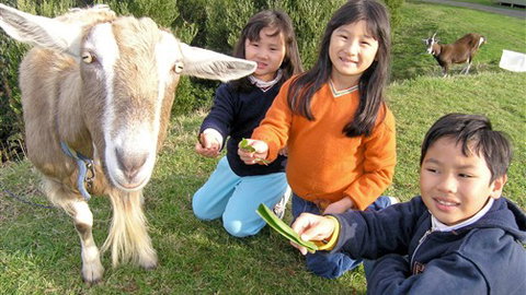 Johanna River Farm And Self Contained Cottages - Accommodation NSW 0