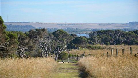 Lonsdale Views - Accommodation NSW 8
