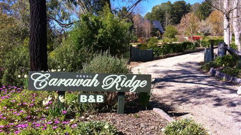 Carawah Ridge Bed And Breakfast - Accommodation NSW 0