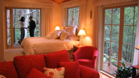 Myers Creek Cascades Luxury Cottages - Accommodation NSW 4