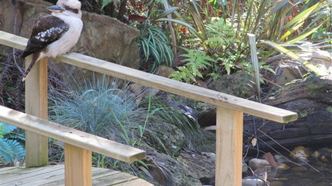 Myers Creek Cascades Luxury Cottages - Accommodation NSW 5