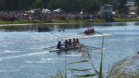 Barwon River Holiday Park - Accommodation NSW 5