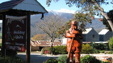 Alpenhorn Holiday Units - Accommodation NSW 0