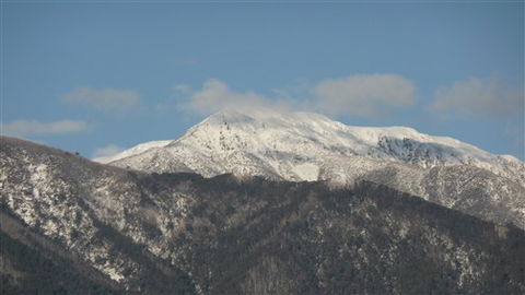 Alpenhorn Holiday Units - Accommodation NSW 5
