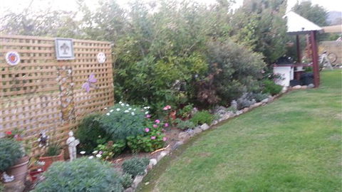 Alpenhorn Holiday Units - Accommodation NSW 7