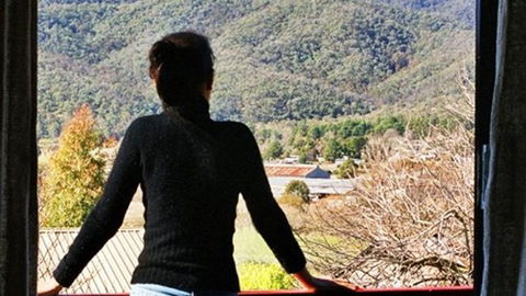 Alpenhorn Holiday Units - Accommodation NSW 4