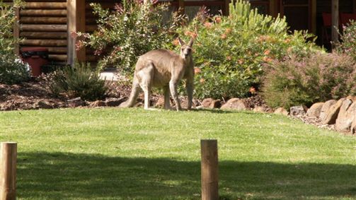  Accommodation NSW