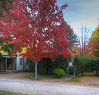 Bright Caravan Park - Accommodation NSW