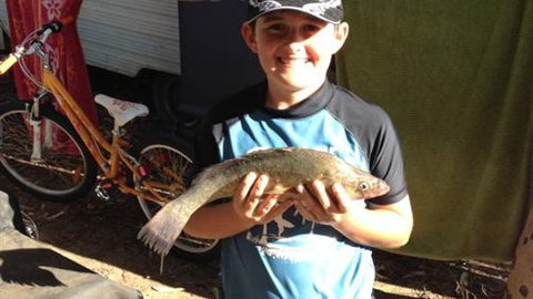 Boomerang Way Tourist Park - Accommodation NSW 4