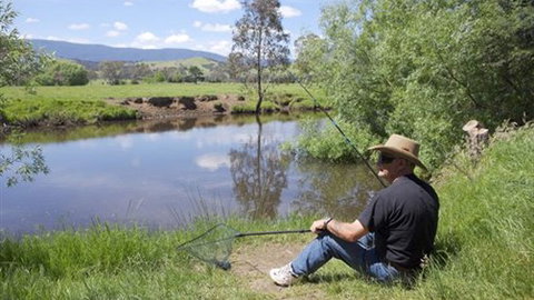 BIG4 Taggerty Holiday Park - Accommodation NSW 4