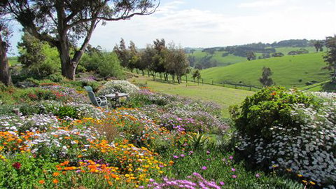 Loves Lane Cottages - Accommodation NSW 0