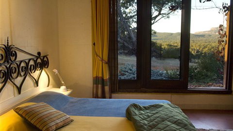 Kangaroos In The Top Paddock - Accommodation NSW 3