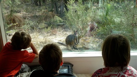 Aquila Eco Lodges - Accommodation NSW 4