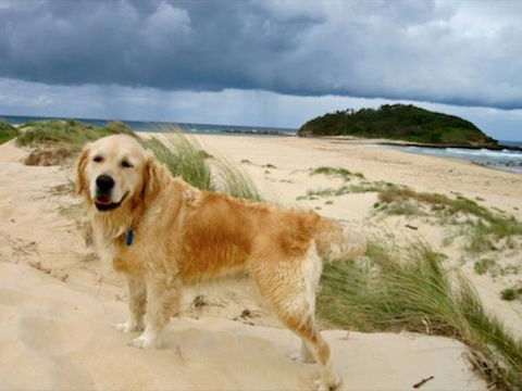 Castaway Holiday Units - Accommodation NSW 1