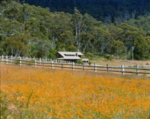Pender Lea Alpine Guest Accommodation - Accommodation NSW 1