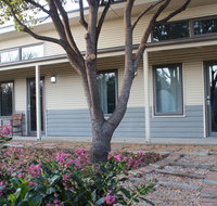 The Grape and Olive in Willunga - Accommodation NSW