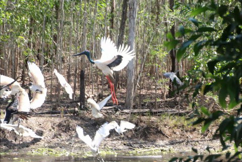 Rakhi Retreat - Accommodation NSW 0