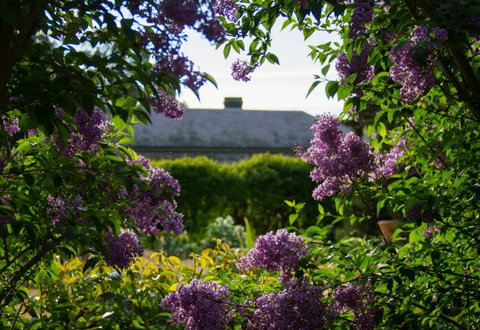 Eurambeen Historic Homestead And Gardens - Accommodation NSW 1