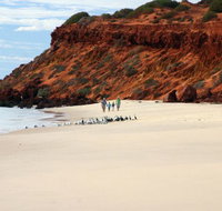 Herald Bight Camp at Francois Peron National Park - Accommodation NSW