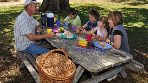 Naracoorte Caves Camping And Accomodation - Accommodation NSW 3