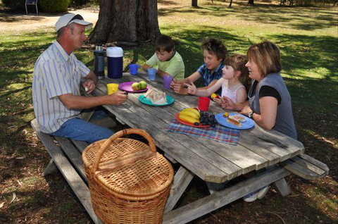 Naracoorte Caves Camping And Accomodation - Accommodation NSW 0