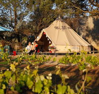 Grapevine Glamping - Accommodation NSW
