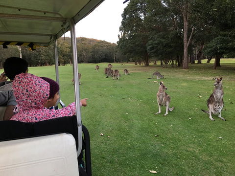 Nelson Bay Golf Club - Accommodation NSW 0