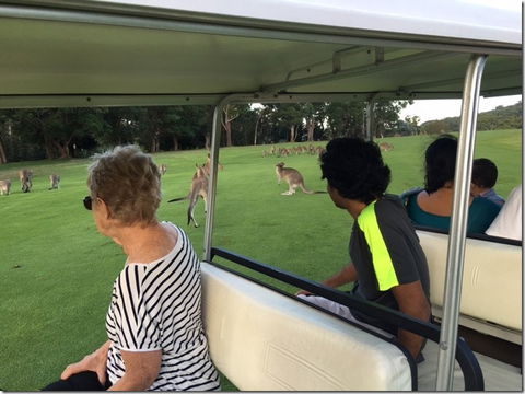 Nelson Bay Golf Club - Accommodation NSW 2