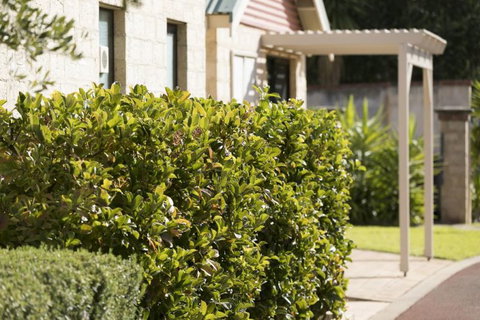 Amalfi Resort - Accommodation NSW 5