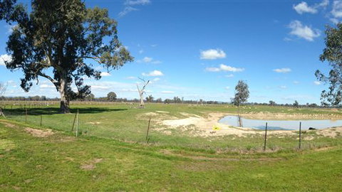 Twin Palms Cottage - Accommodation NSW 6