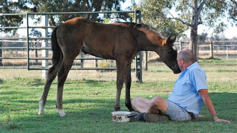 Twin Palms Cottage - Accommodation NSW 5