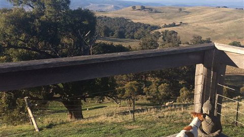 Merrindie - Accommodation NSW 5