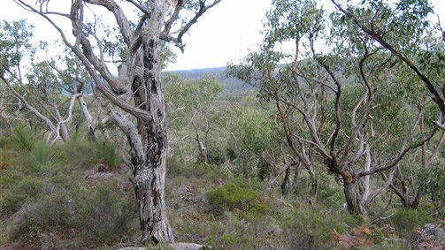  Accommodation NSW