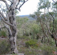 The Glen - Accommodation NSW