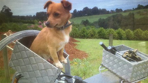 Farm Accommodation - Accommodation NSW 1