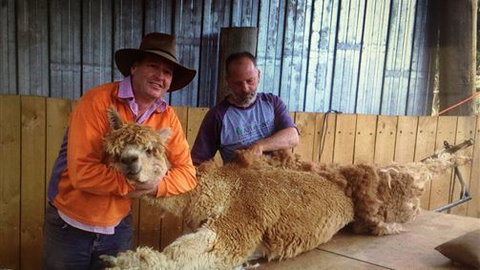 Farm Accommodation - Accommodation NSW 3