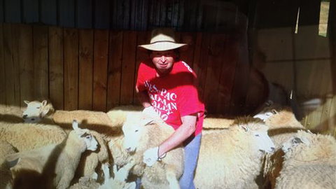 Farm Accommodation - Accommodation NSW 2