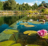 Planetrees Lodge - Accommodation NSW
