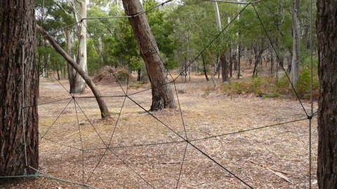 UC Camping Norval - Accommodation NSW 1