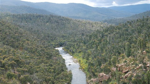 The Willows - Accommodation NSW 3