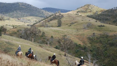 The Willows - Accommodation NSW 2