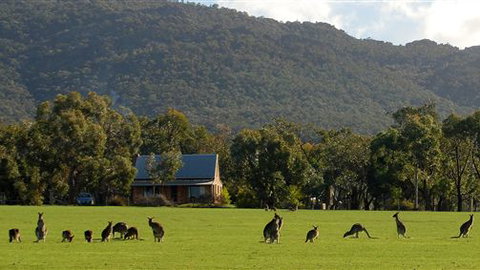 Grampians Pioneer Cottages - Accommodation NSW 3