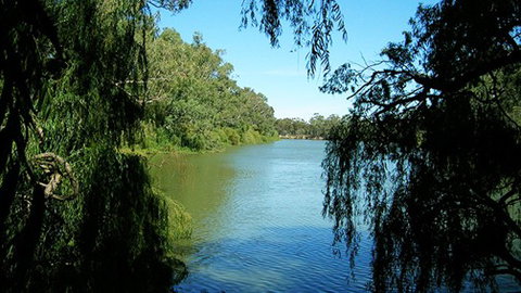 Perricoota Station - Accommodation NSW 2