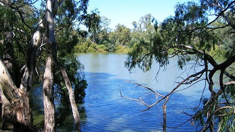 Perricoota Station - Accommodation NSW 4
